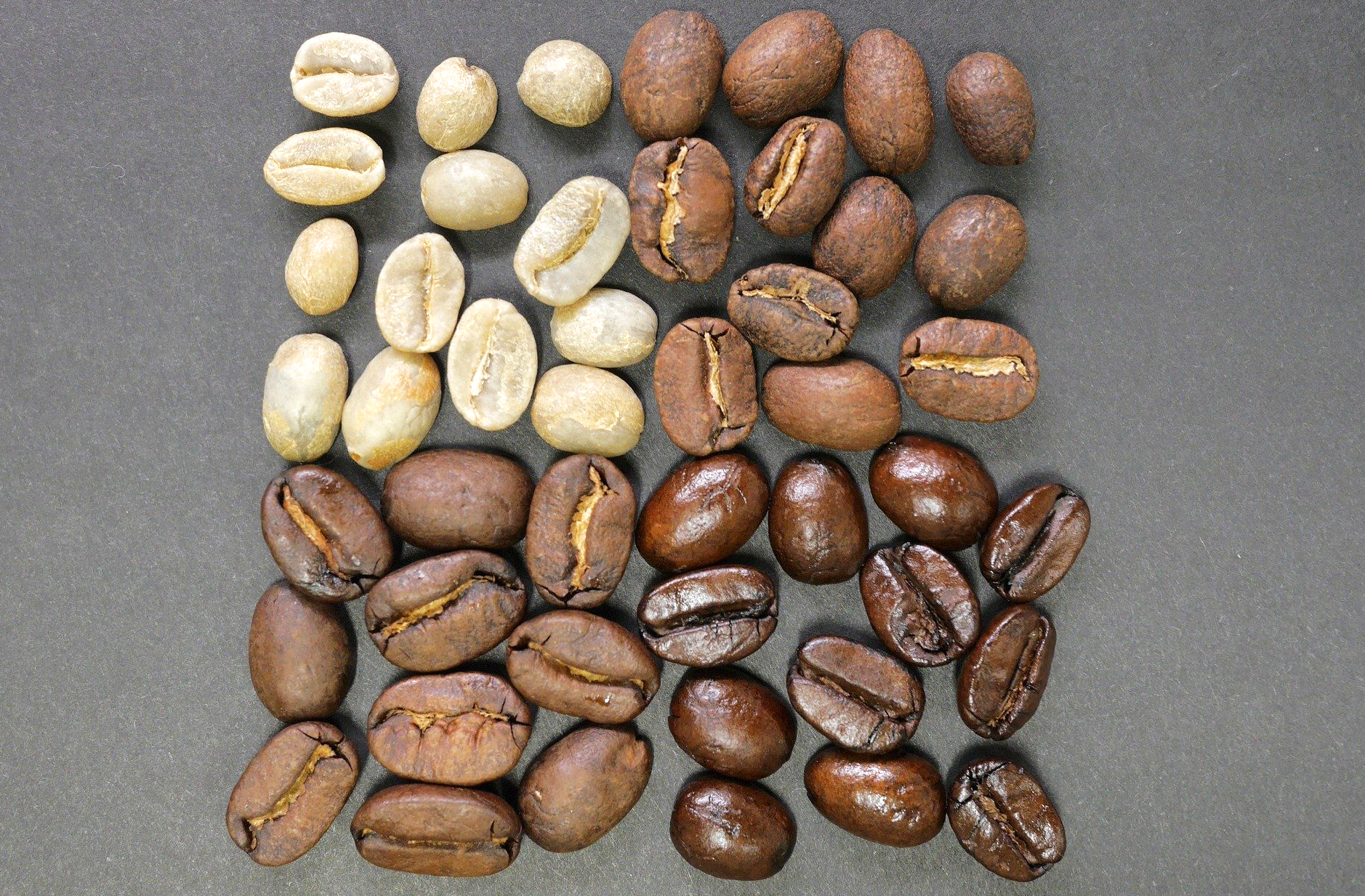 le processus de torréfaction du café