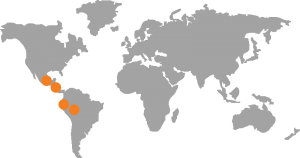 Découvrez la provenance des grains du café Marumba